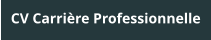 CV Carrière Professionnelle